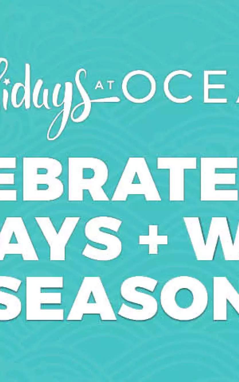 graphic with snowflakes and blue background saying "Celebrate the Holidays + Winter Season" 